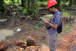 data-mining-dan-big-data-analysis-di-perkebunan-kelapa-sawit