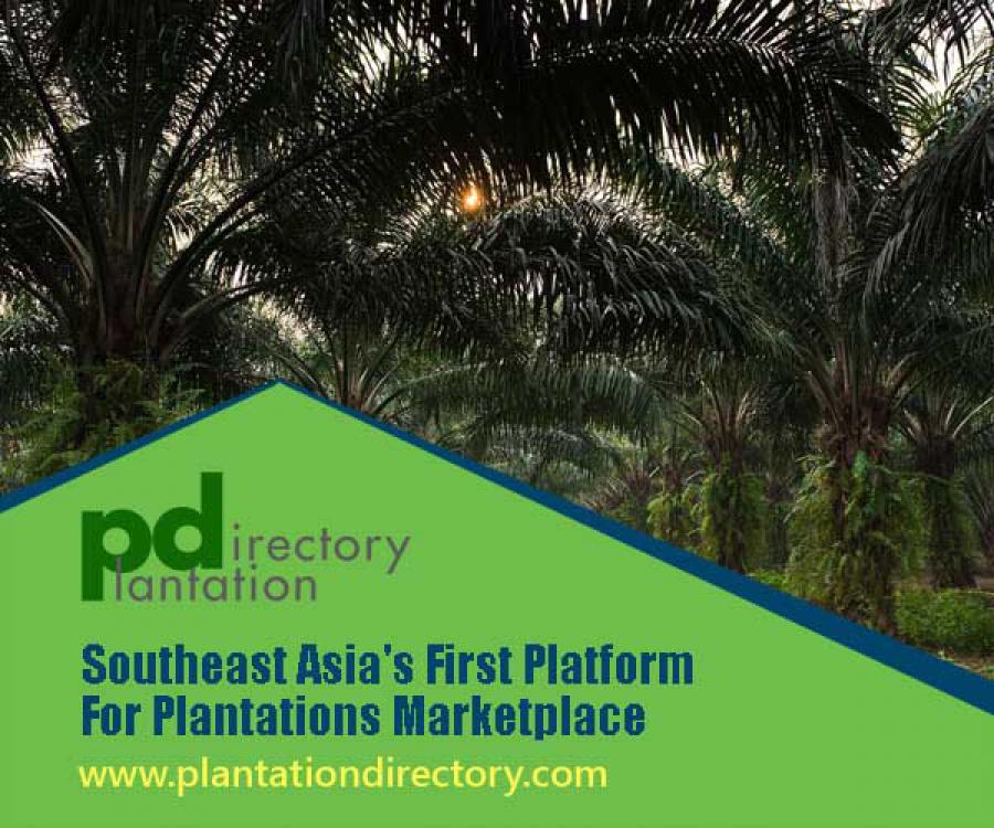 Southeast Asia First Platform for Plantations Marketplace